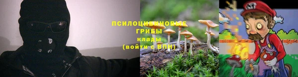ECSTASY Армянск